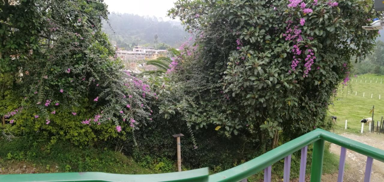 萨兰托Coffee Flores Gabriel公寓 外观 照片